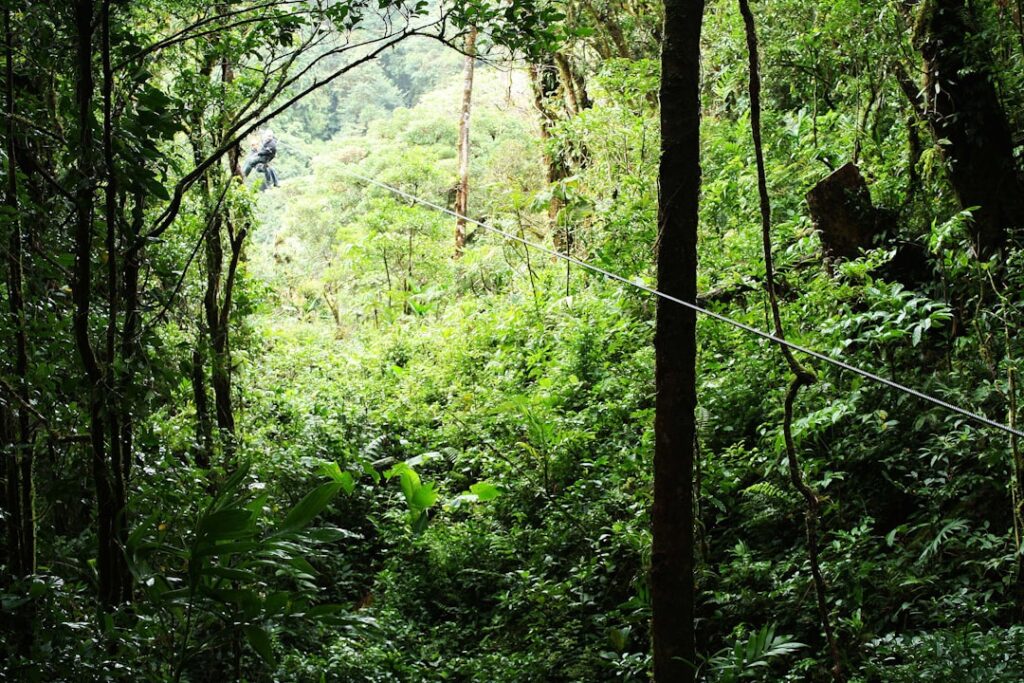 La Guía Definitiva para Vivir la Aventura Extrema en Parque Xplor Caribe Mexicano