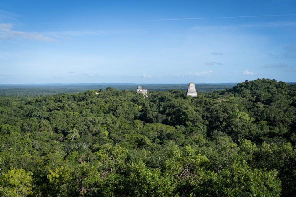 7 Secretos Imperdibles para Explorar las Ruinas de Cobá y Vivir una Aventura Inolvidable