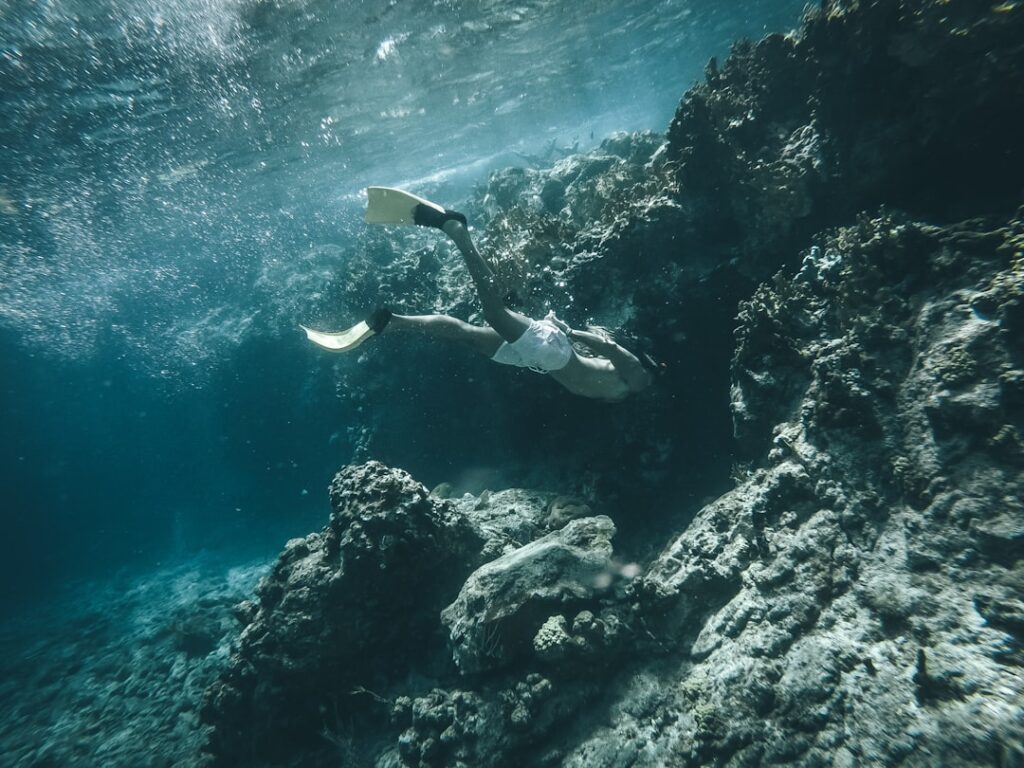 La Guía definitiva para descubrir el paraíso del snorkel en Cozumel y El Cielo