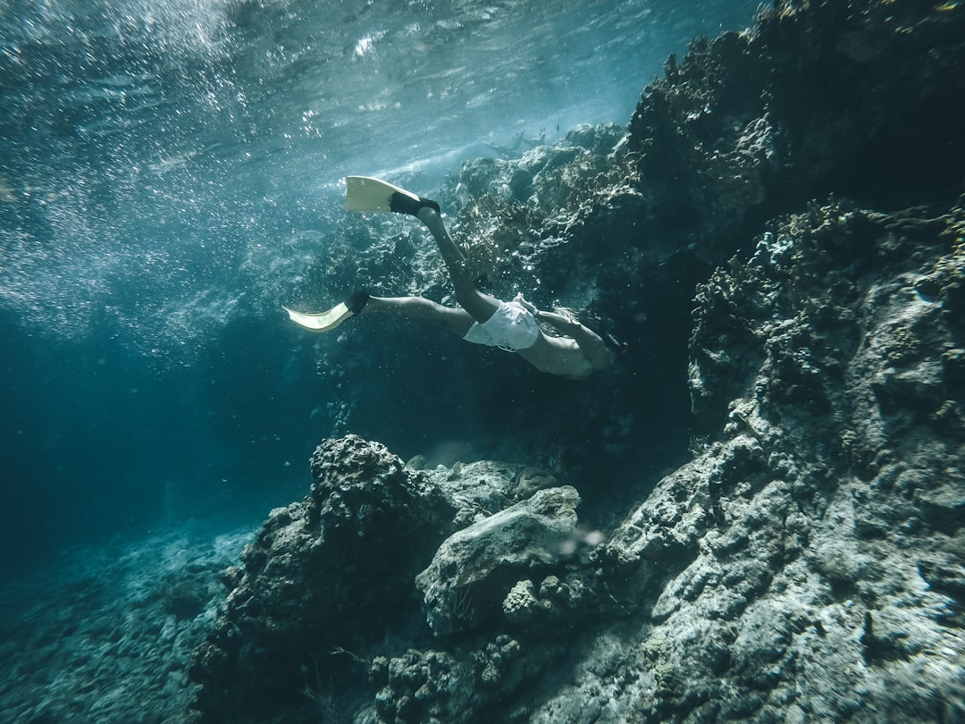La Guía definitiva para descubrir el paraíso del snorkel en Cozumel y El Cielo