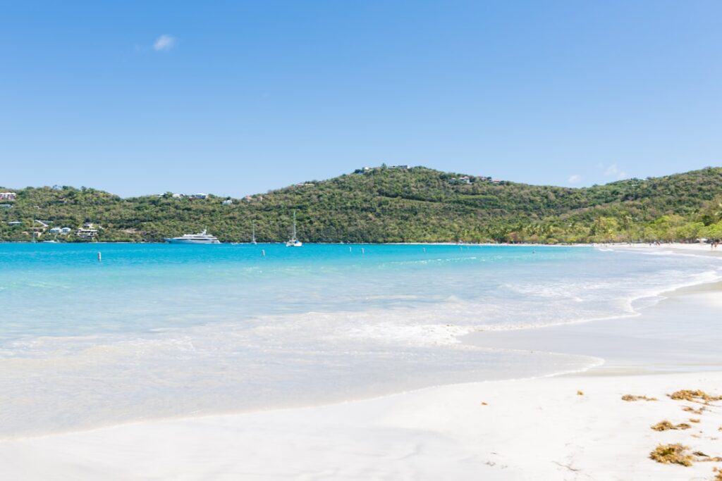 La Guía definitiva para descubrir Isla Contoy: Paraíso oculto del Caribe Mexicano