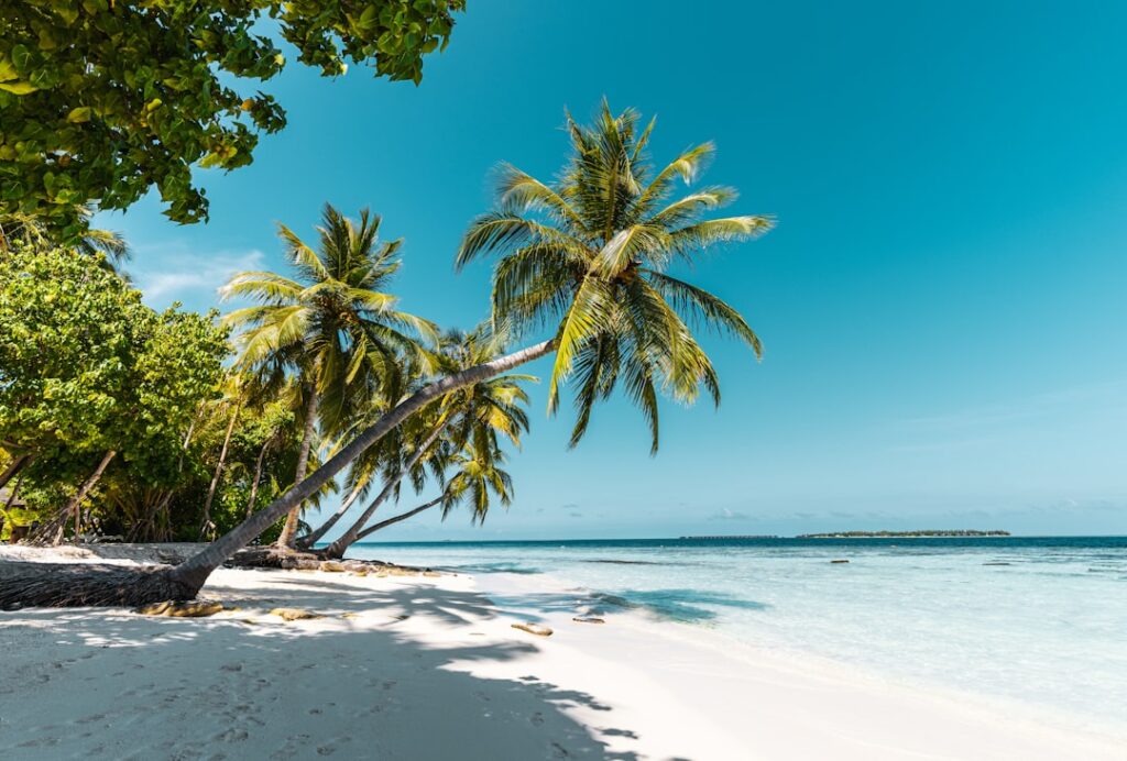 La Guía Definitiva Para Disfrutar el Clima Perfecto en el Caribe Mexicano y la Mejor Época para Viajar